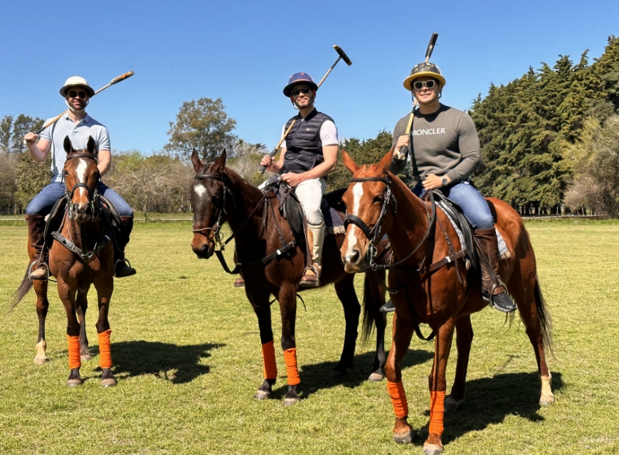 POLO Ponies Tour